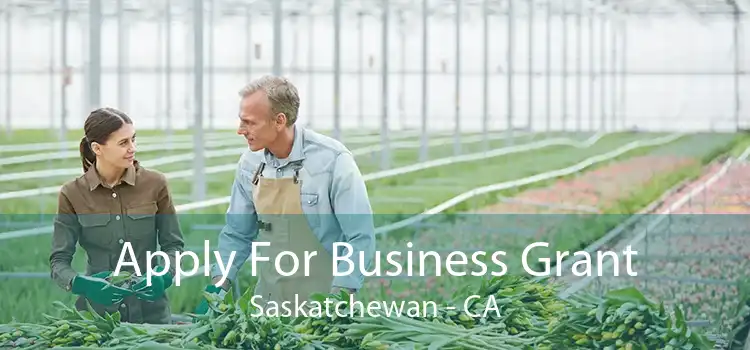 Apply For Business Grant Saskatchewan - CA